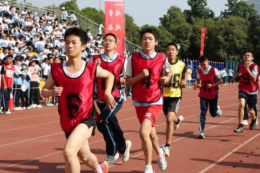 体育盛事精彩上演，运动员奉献精彩比赛的简单介绍