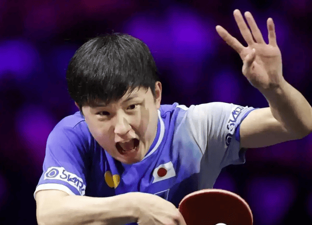 开云体育入口-包含比利时乒乓球队轻取瑞典乒乓球队，张本智和惊艳世界的词条