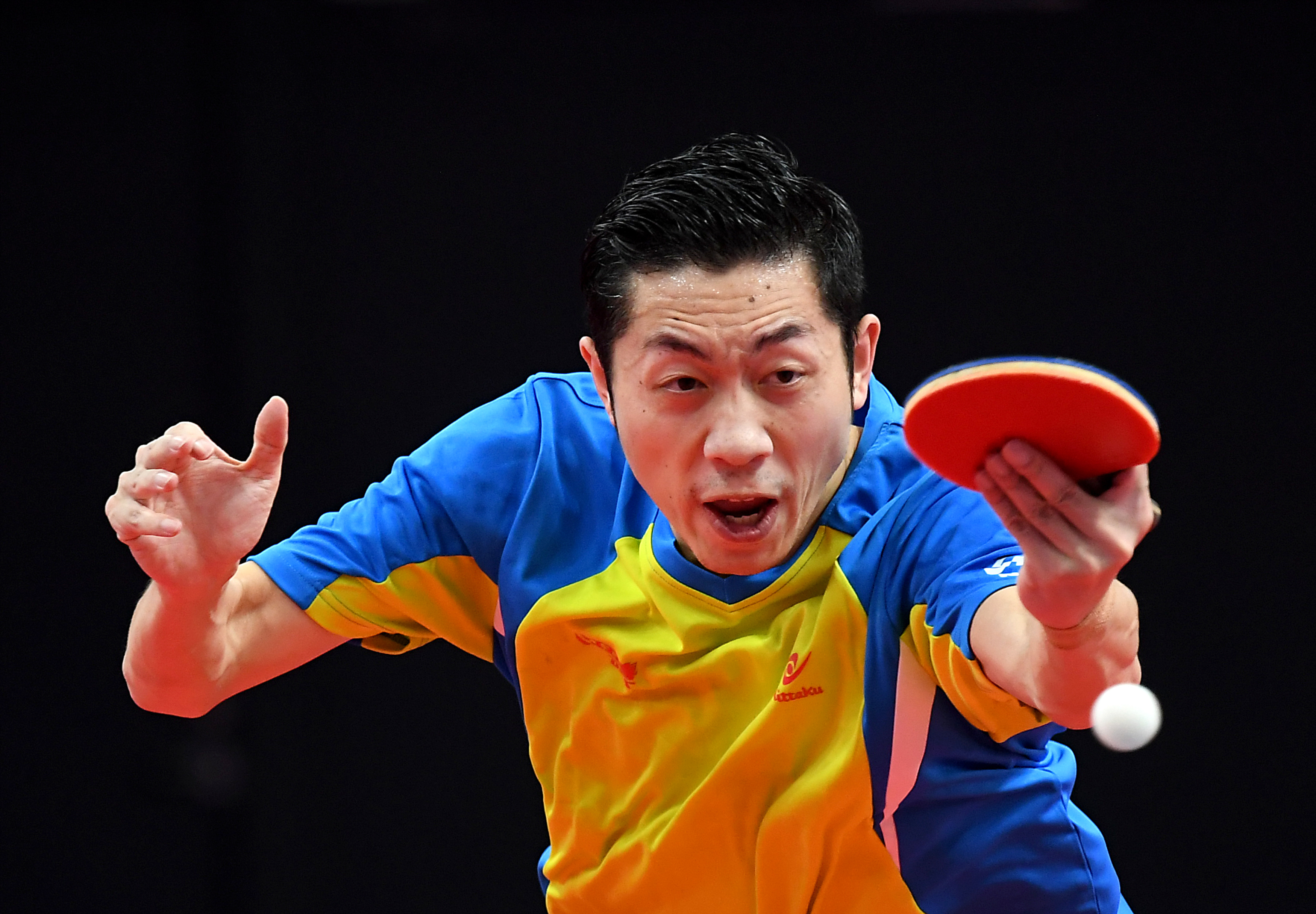 中国队力克法国队，许昕刷新纪录的简单介绍