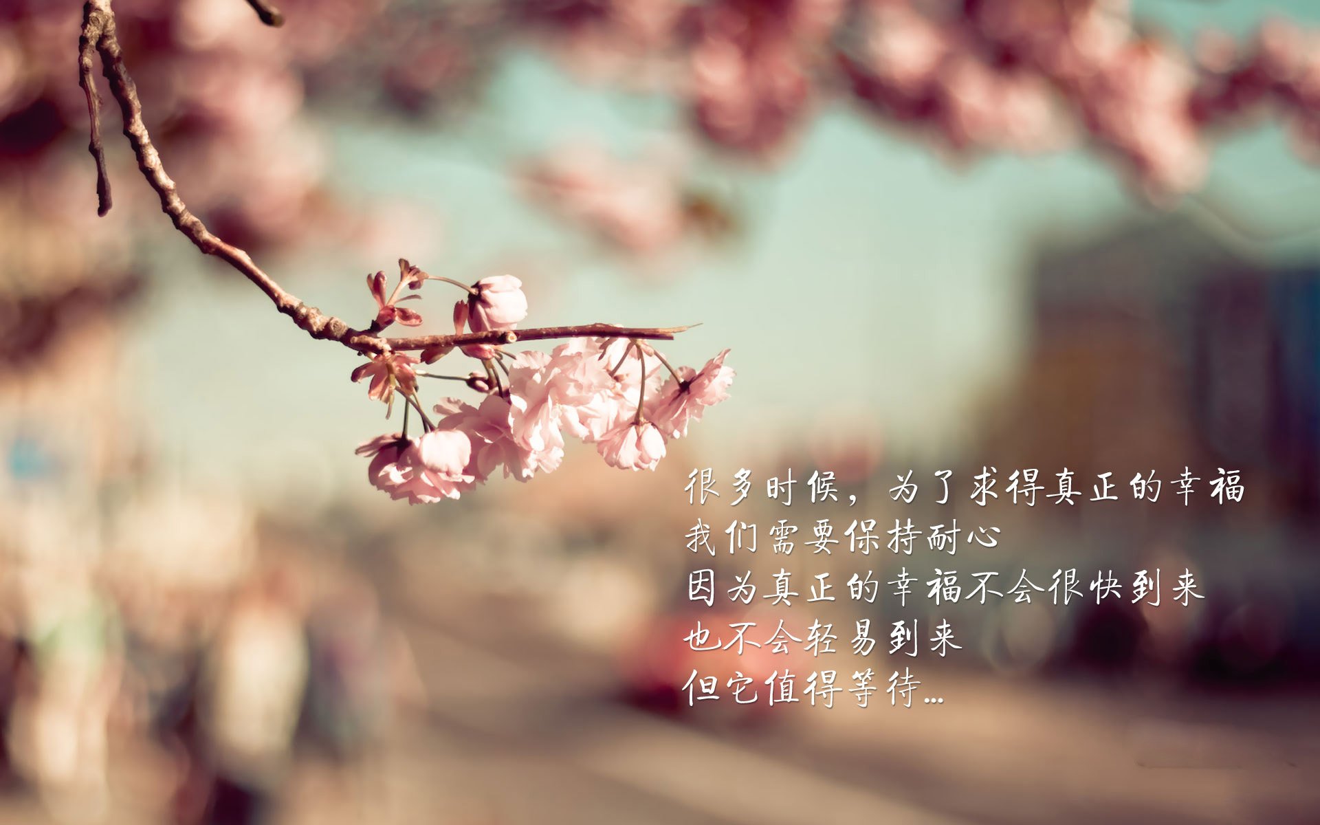 开云体育官方网站-夜战巴林，范弗利特一骑绝尘，揭幕战上演王者归来