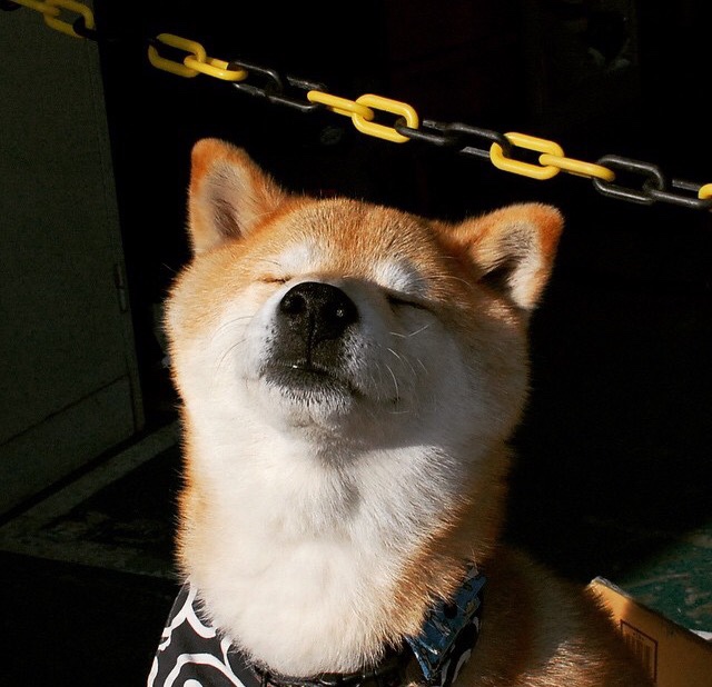 淬火成金！西亚卡姆化身擎天白玉柱，热火加时鏖战力克山西