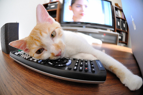 杰伦格林爆发狂飙40分,吉林队铁壁防守锁死开拓者