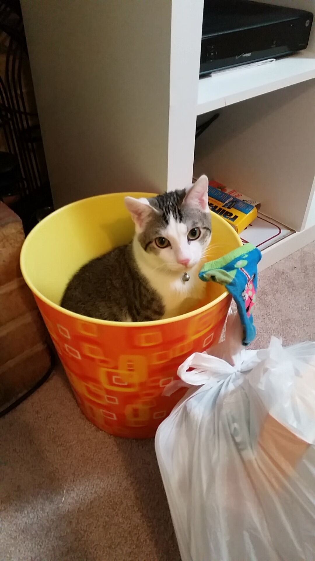 跨界制霸，吉林队震撼森林狼，乔治闪耀英超争冠战