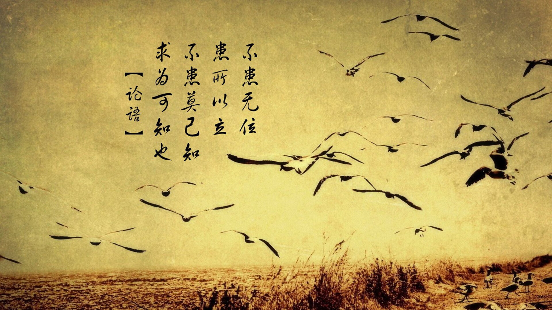 开云体育入口-亚特兰大攻坚尼斯防线，巴斯托尼关键一击定乾坤