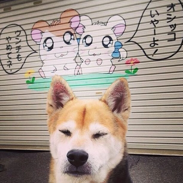 神迹与凡人，当德国铁血筑起蓝桥，梅西在上帝舞台起舞